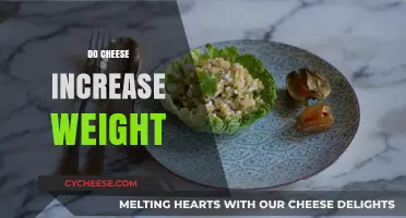 Does Cheese Cause Weight Gain? Unraveling the Dairy Dilemma
