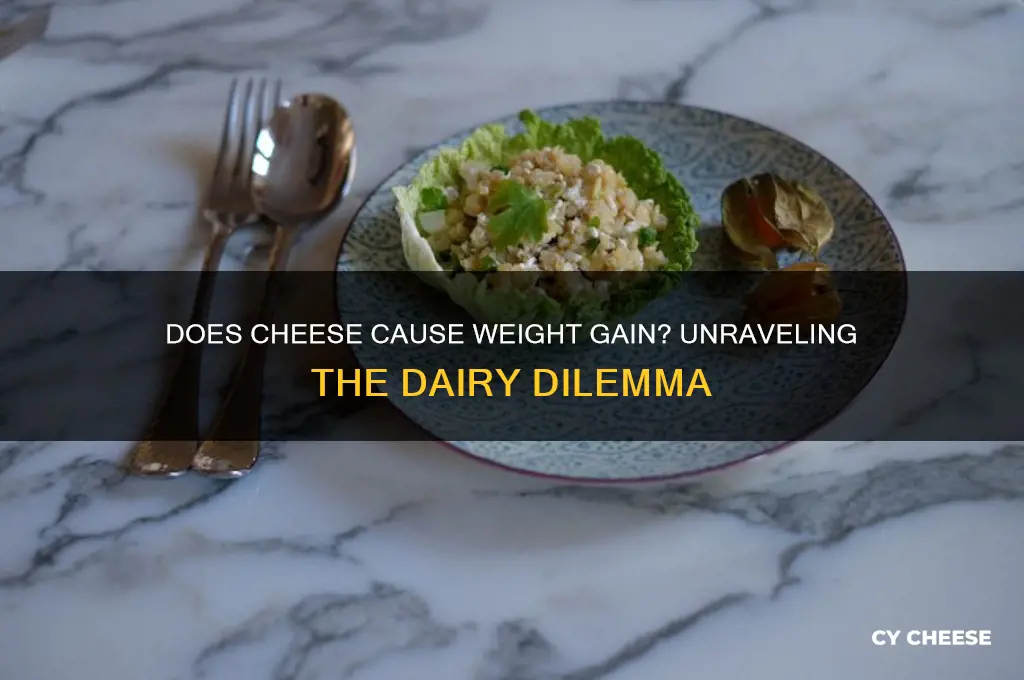 do cheese increase weight