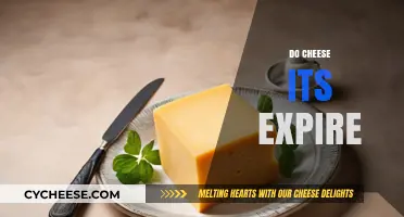 Do Cheese Its Expire? Shelf Life and Storage Tips Explained