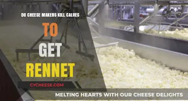 Cheese Makers: Rennet Extraction and Calf Welfare