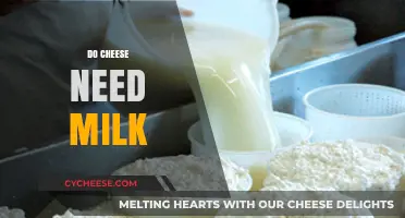 Does Cheese Need Milk? Unraveling the Dairy Connection in Cheese Making