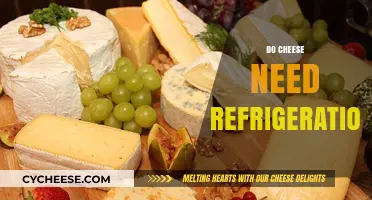 Does Cheese Need Refrigeration? Unraveling the Storage Mystery