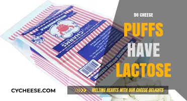 Do Cheese Puffs Have Lactose? Uncovering the Snack's Dairy Content