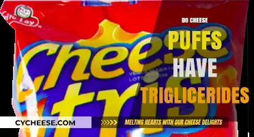 Do Cheese Puffs Contain Triglycerides? Uncovering the Snack's Nutritional Facts