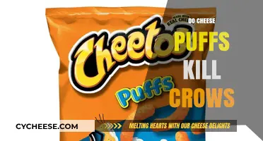 Can Cheese Puffs Harm Crows? Uncovering the Snack's Impact on Birds