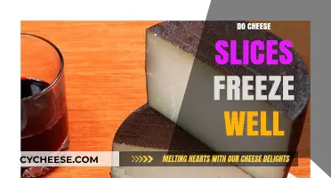 Can You Freeze Cheese Slices? A Complete Guide to Preservation