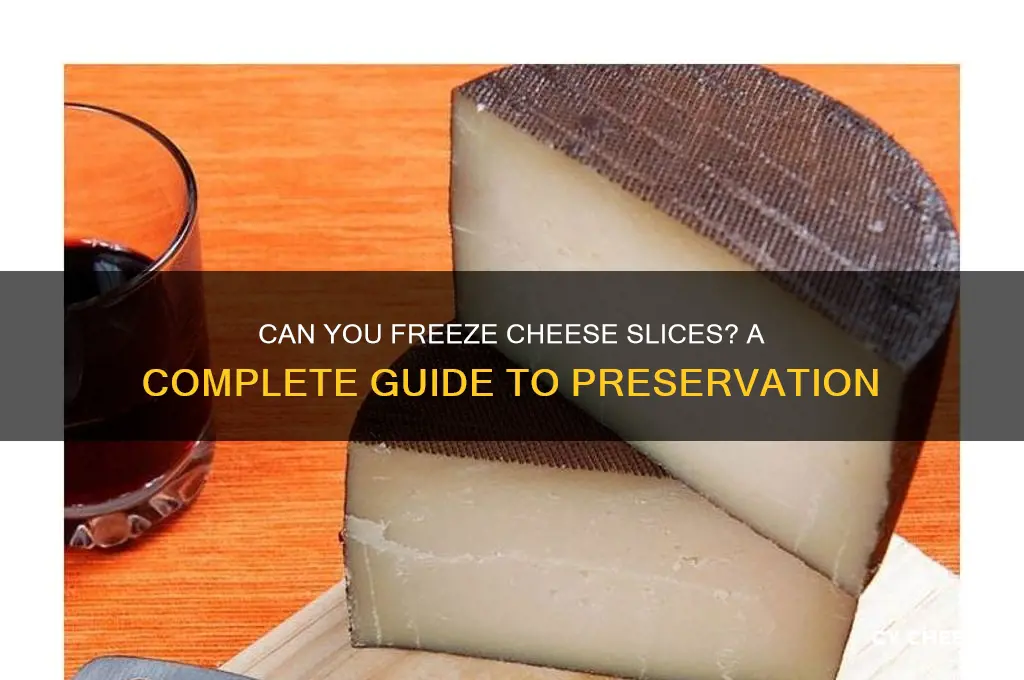 do cheese slices freeze well