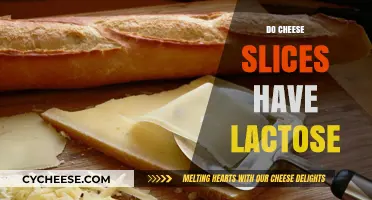 Do Cheese Slices Contain Lactose? A Comprehensive Guide for Cheese Lovers
