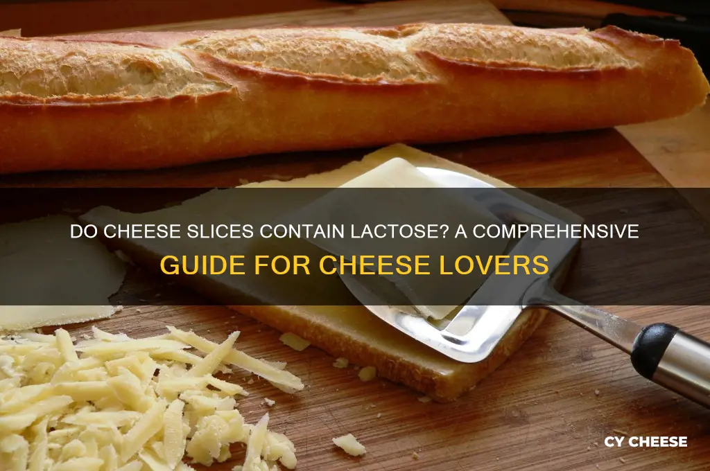 do cheese slices have lactose