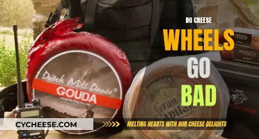Cheese Wheels: How Long Do They Last?