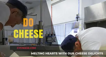 Mastering the Art of Do Cheese: Tips, Tricks, and Recipes