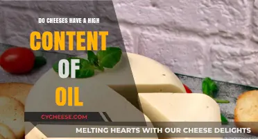 Exploring Cheese Oil Content: High Levels or Healthy Fats?