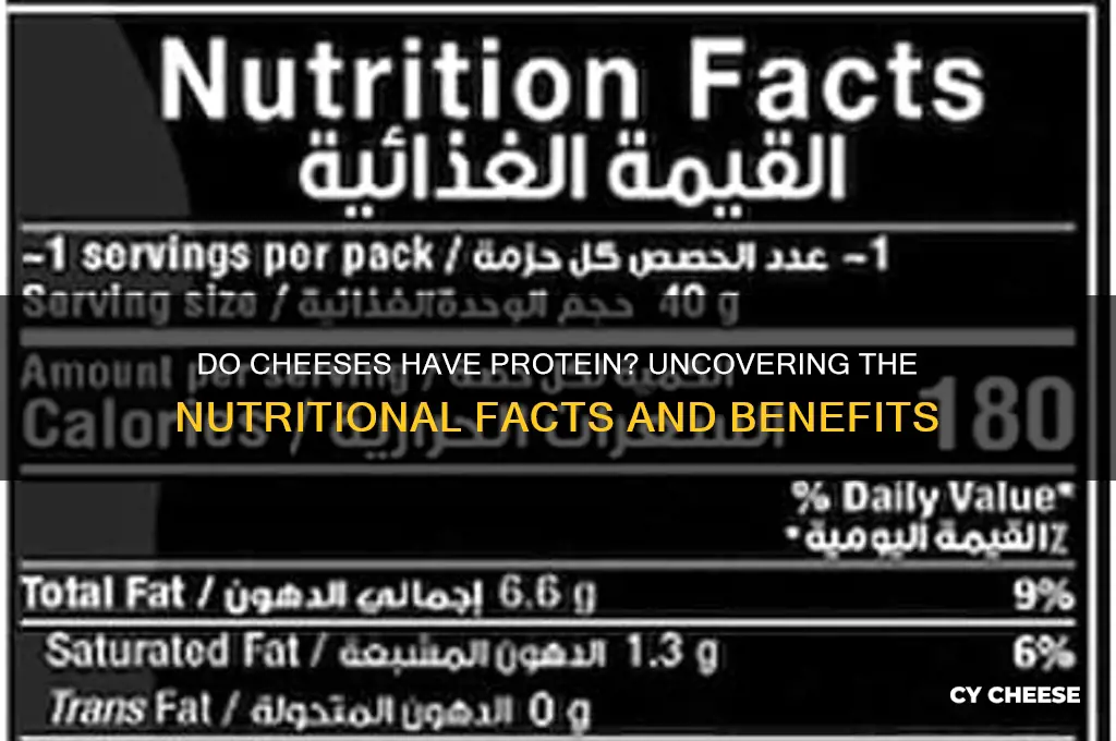 do cheeses have protien