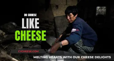 Chinese and Cheese: A Cultural Culinary Conundrum