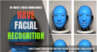 Animatronics: Do Chuck E. Cheese's Robots Recognize Faces?