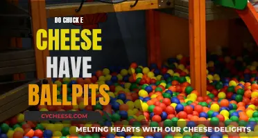 Exploring Chuck E. Cheese's Play Areas: Ballpits and Beyond