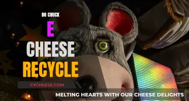 Chuck E. Cheese's Recycling Efforts: Environmentally Conscious Entertainment