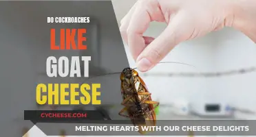 Cockroaches and Goat Cheese: A Strange Attraction
