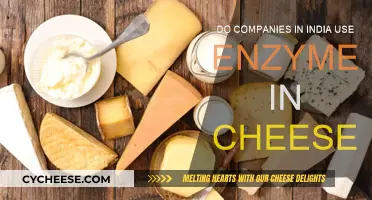 Cheese Enzymes: Are Indian Companies on Board?