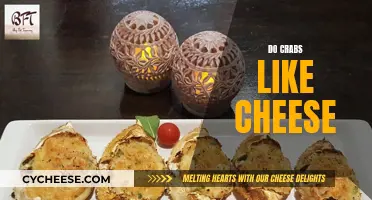 Crabs and Cheese: A Tasty Treat or Not?