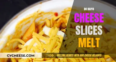 Daiya Cheese Slices: Melting Moments for Dairy-Free Fans