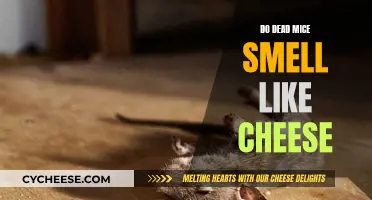 The Stench of Dead Mice: Cheesy or Not?