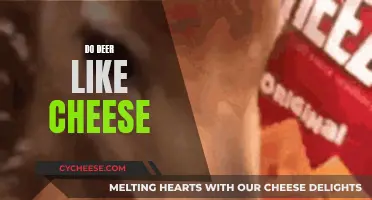 Cheese and Deer: A Tasty Treat or Not?
