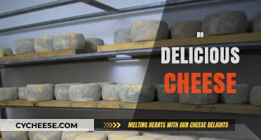 Mastering the Art of Delicious Cheese: Tips, Tricks, and Recipes