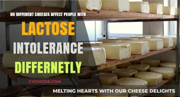 Lactose Intolerance and Cheese: How Varieties Impact Digestive Reactions