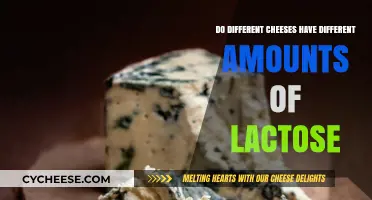 Lactose Levels in Cheese: How Varieties Differ in Content
