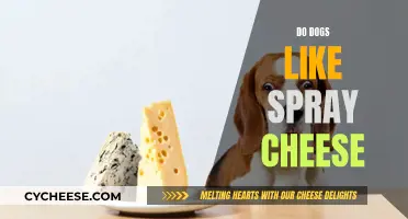 Spray Cheese: A Dog's Favorite Treat or Not?