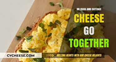 Eggs and Cottage Cheese: A Perfect Protein-Packed Pairing?