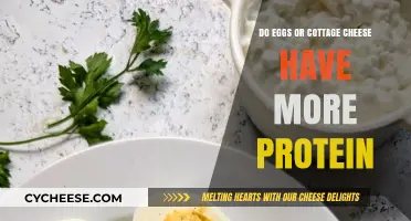 Eggs vs. Cottage Cheese: Which Protein Source Packs More Punch?