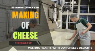 How Enzymes Transform Milk into Cheese: The Clotting Process Explained
