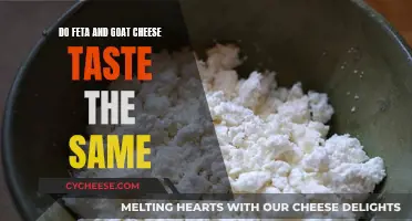 Feta vs. Goat Cheese: Unraveling the Flavor Similarities and Differences