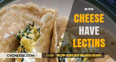 Feta Cheese and Lectins: What's the Deal?
