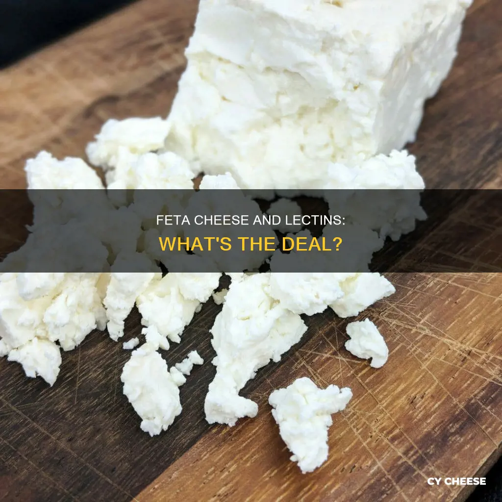 do feta cheese have lectins