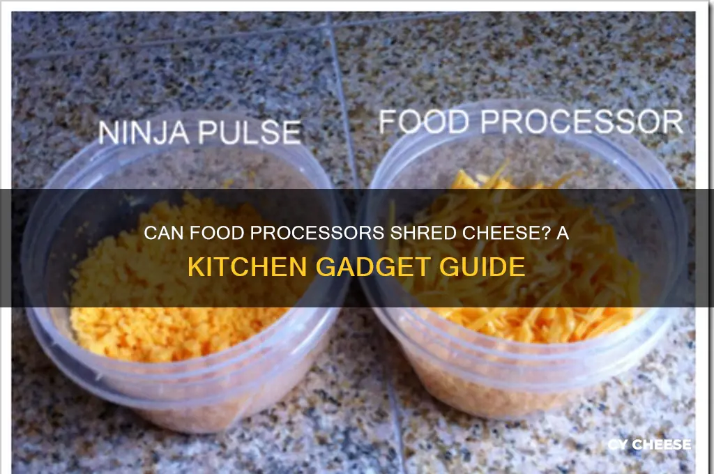 do food processors shred cheese