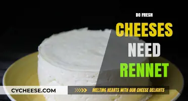Fresh Cheeses and Rennet: Is It a Necessary Ingredient?