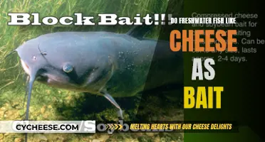 Freshwater Fish and Cheese: A Tasty Treat or Not?