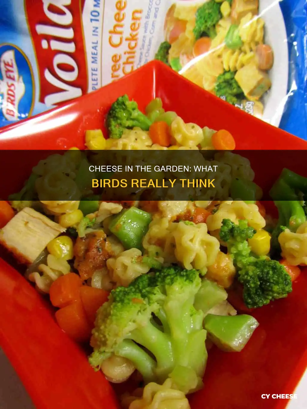 do garden birds like cheese