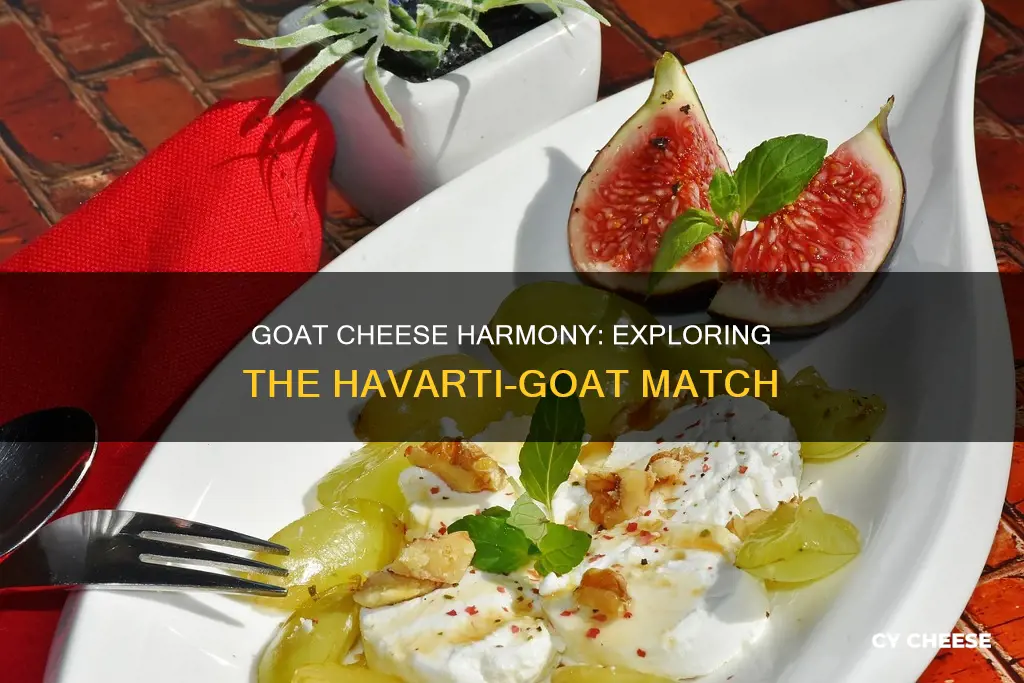 do goat and havarti cheese go together