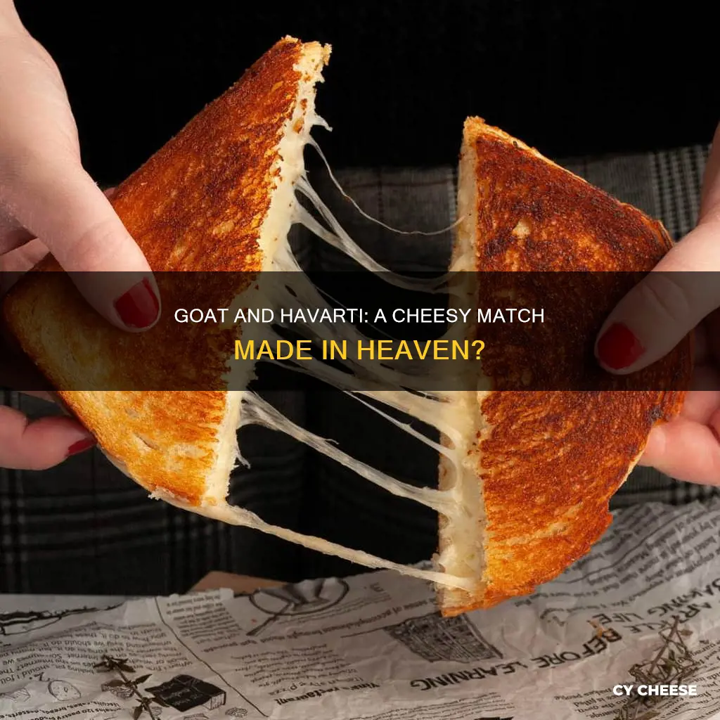 do goat and havarti cheese go together