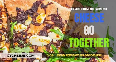 Goat Cheese and Parmesan: A Match Made in Heaven?