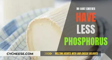 Goat Cheese: A Phosphorus-Friendly Dairy Option?