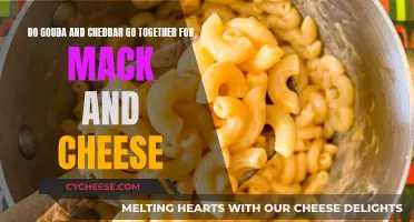 Cheesy Fusion: Gouda's Harmony with Cheddar in Mac and Cheese