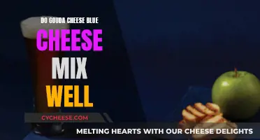 Gouda and Blue Cheese: A Tasty Mix?