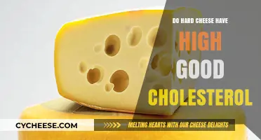 Hard Cheese and HDL: Uncovering the Good Cholesterol Connection