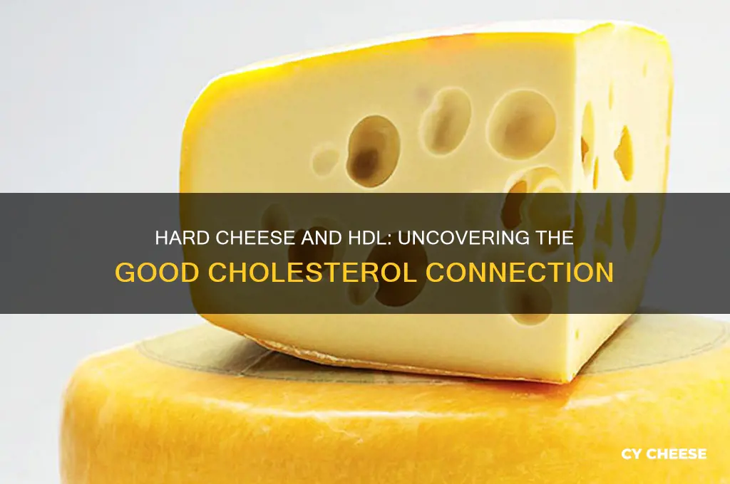 do hard cheese have high good cholesterol