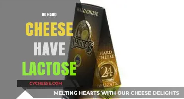 Does Hard Cheese Contain Lactose? Unraveling the Dairy Dilemma